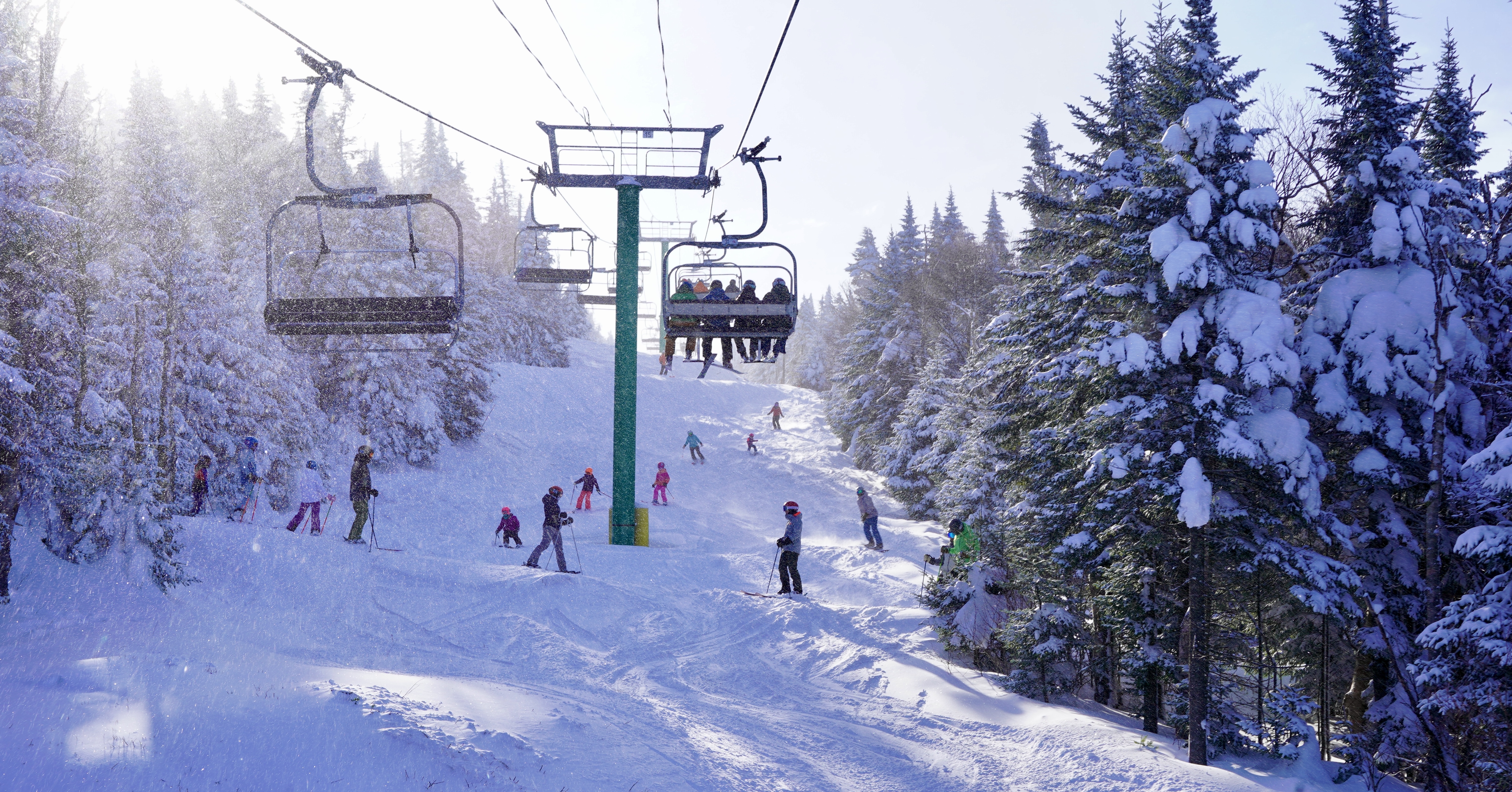 Black Friday/ Cyber Monday Deal